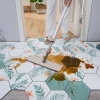 Red Sun Carpet, leather carpet, door mat for home use, waterproof and washable, pvc anti-slip floor mat for entrance doors details Picture